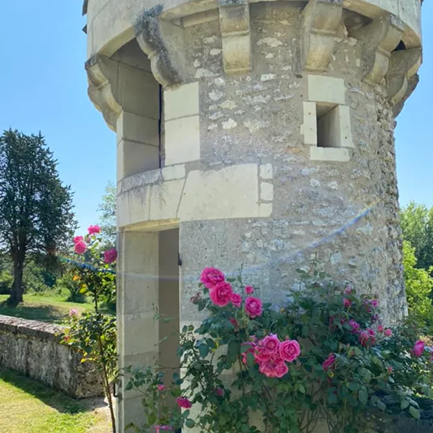 tour de chateau en pierre apaprente